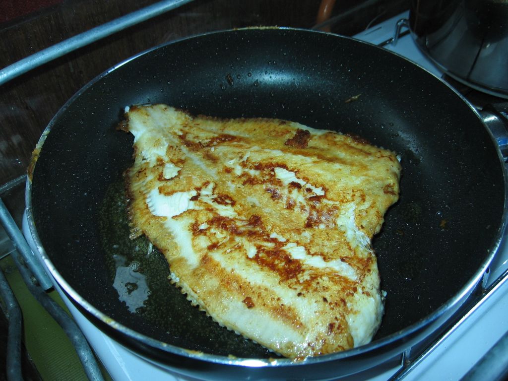 Scholle gebraten